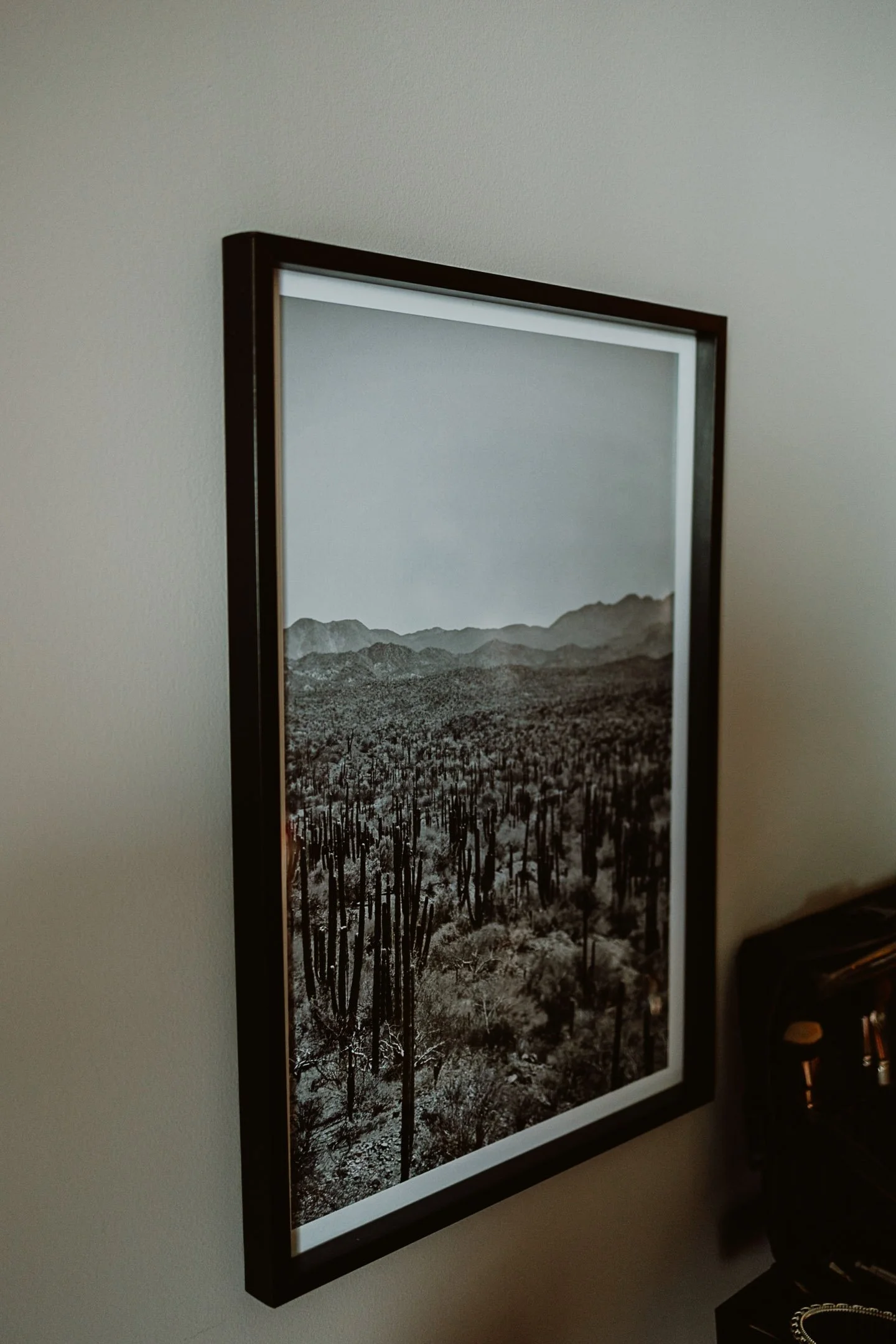 Yasi & Lev preview-4.JPG