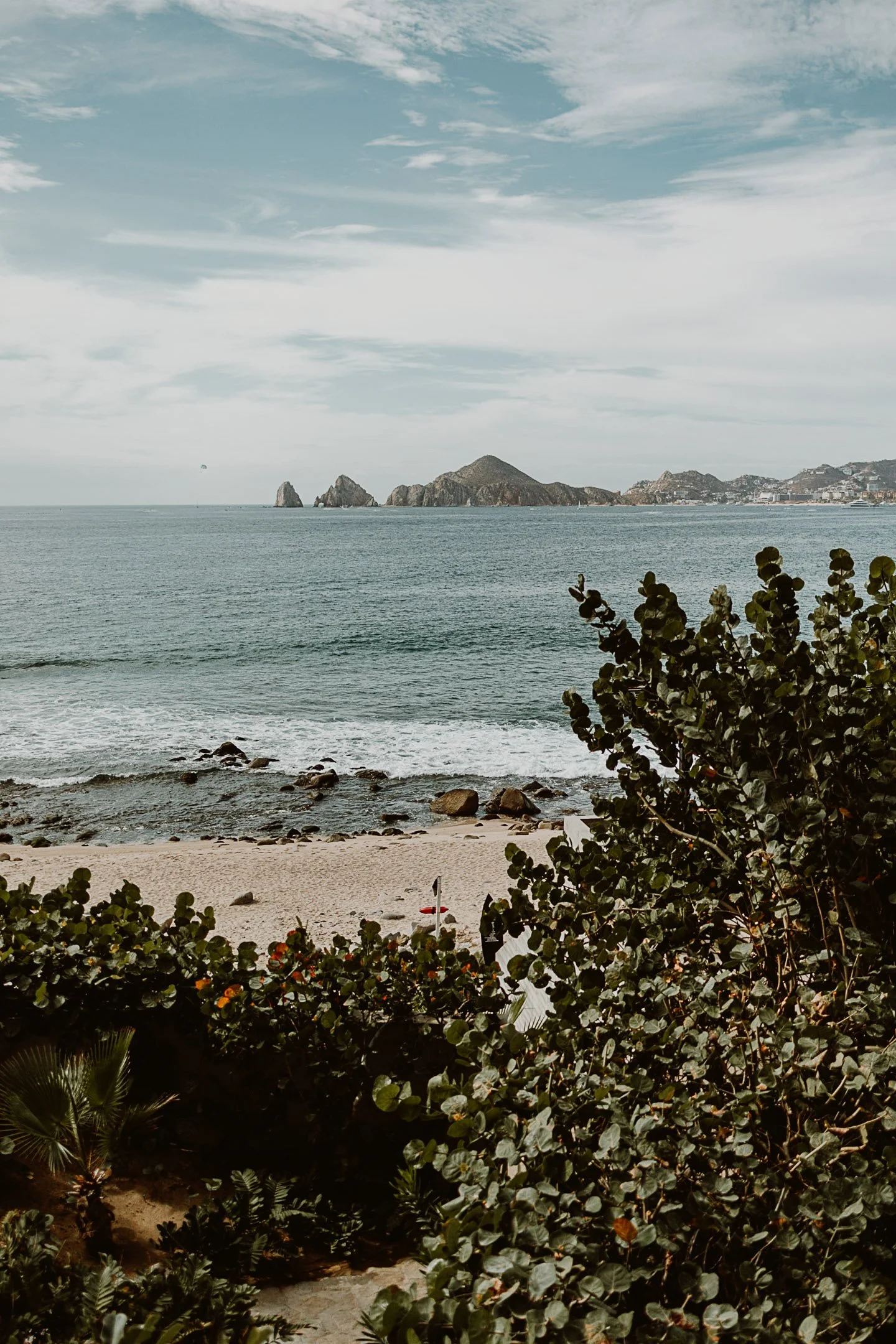 Yasi & Lev preview-6.JPG