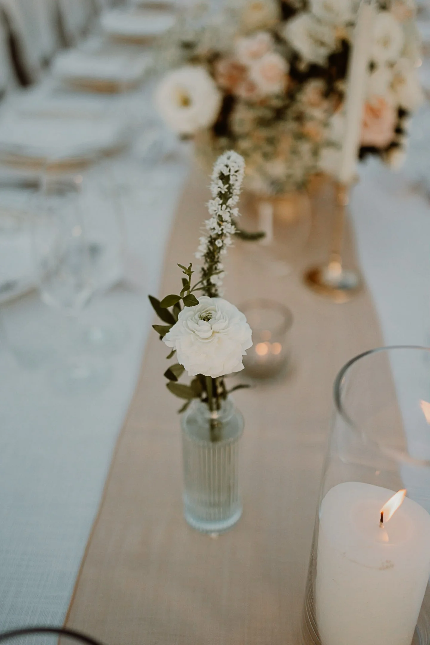 Yasi & Lev preview-92.JPG