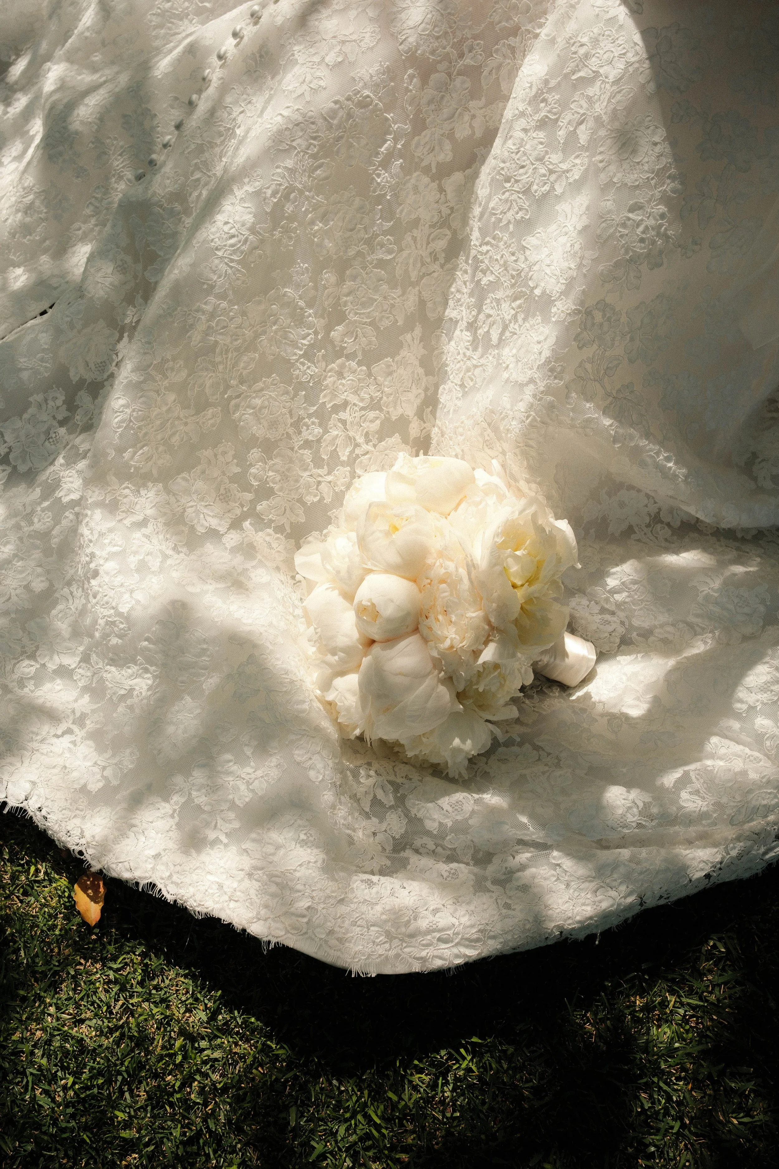 DukeImages_T3FJ0290.jpg
