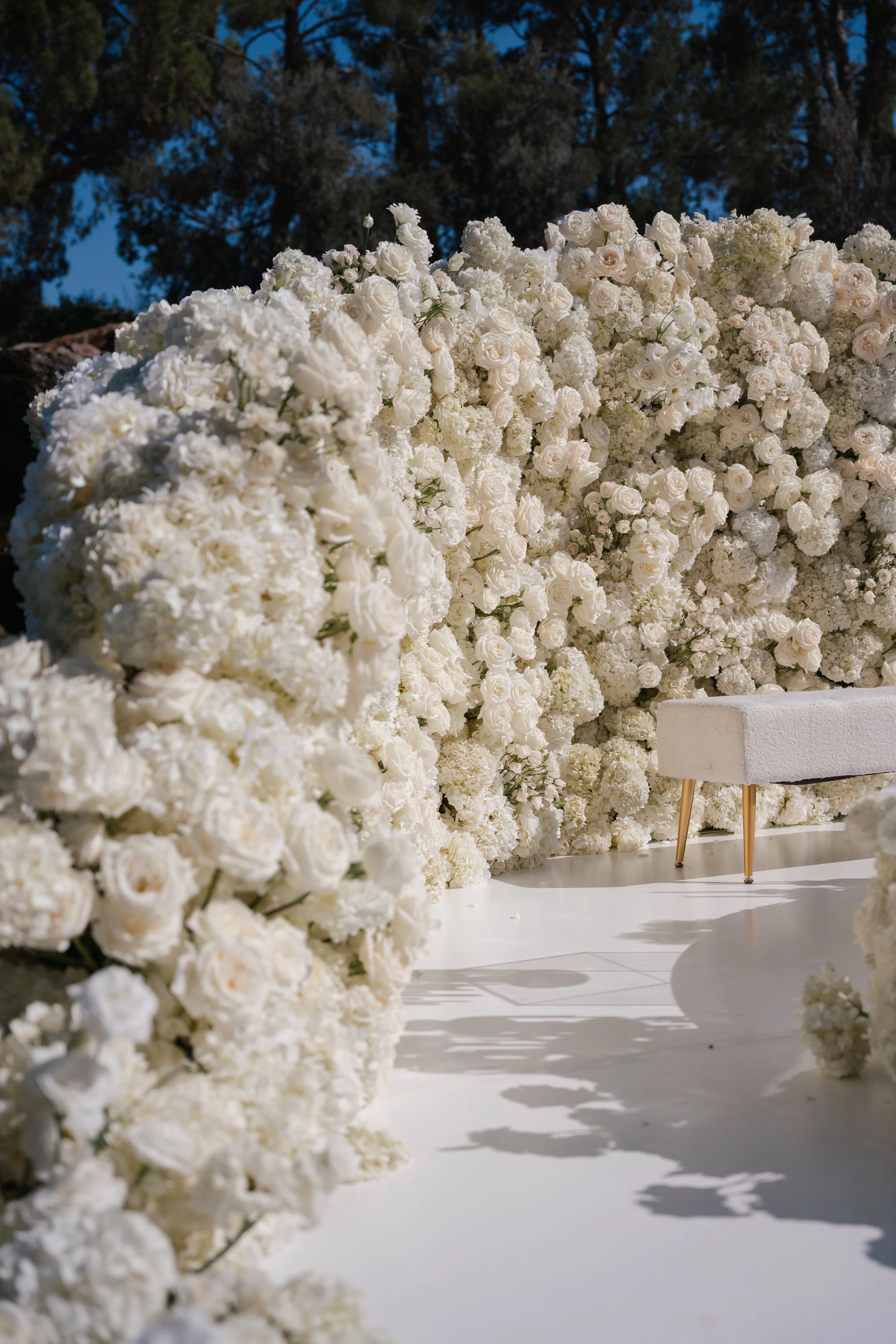 PUG00753 (1).jpg