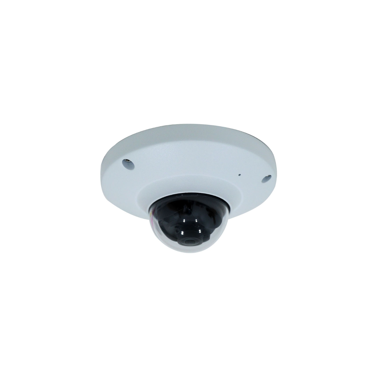 4MP Fisheye IP Network Vandal Dome Camera