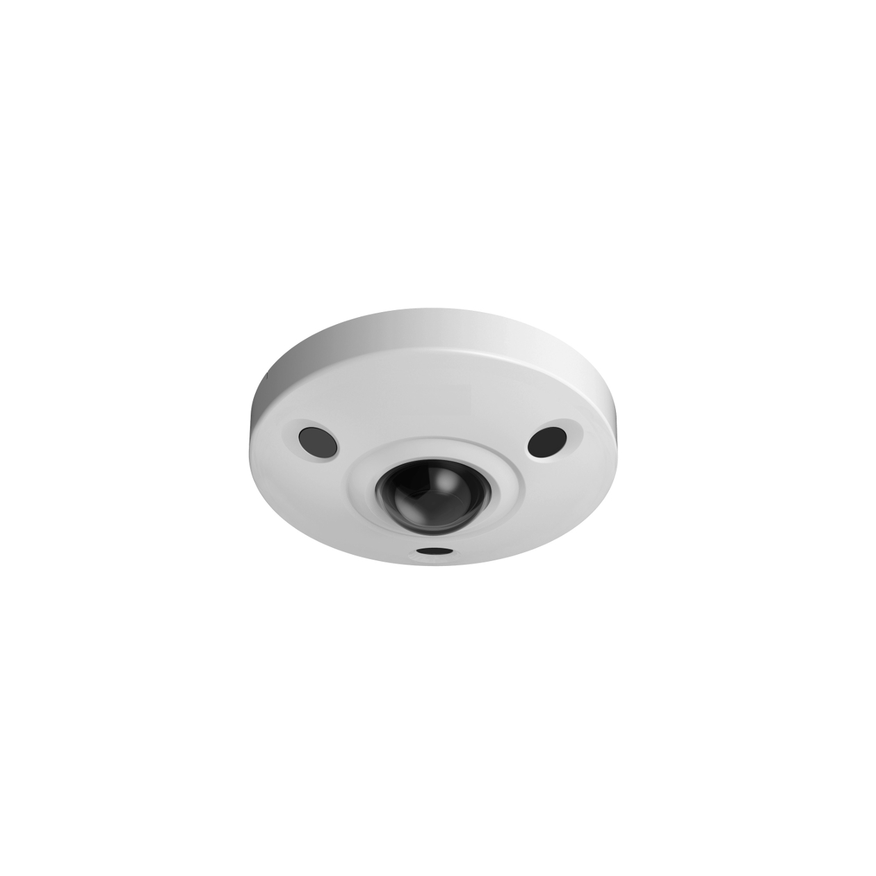 12Mp IR Fisheye IP Network Vandal Dome Camera