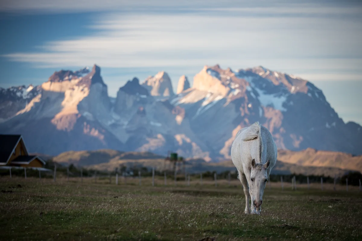02February2015.Chile..Patagonia.NickDiamondPhotography.GearUpAdventures.Patagonia.Torre.del.Paine-9311.jpg