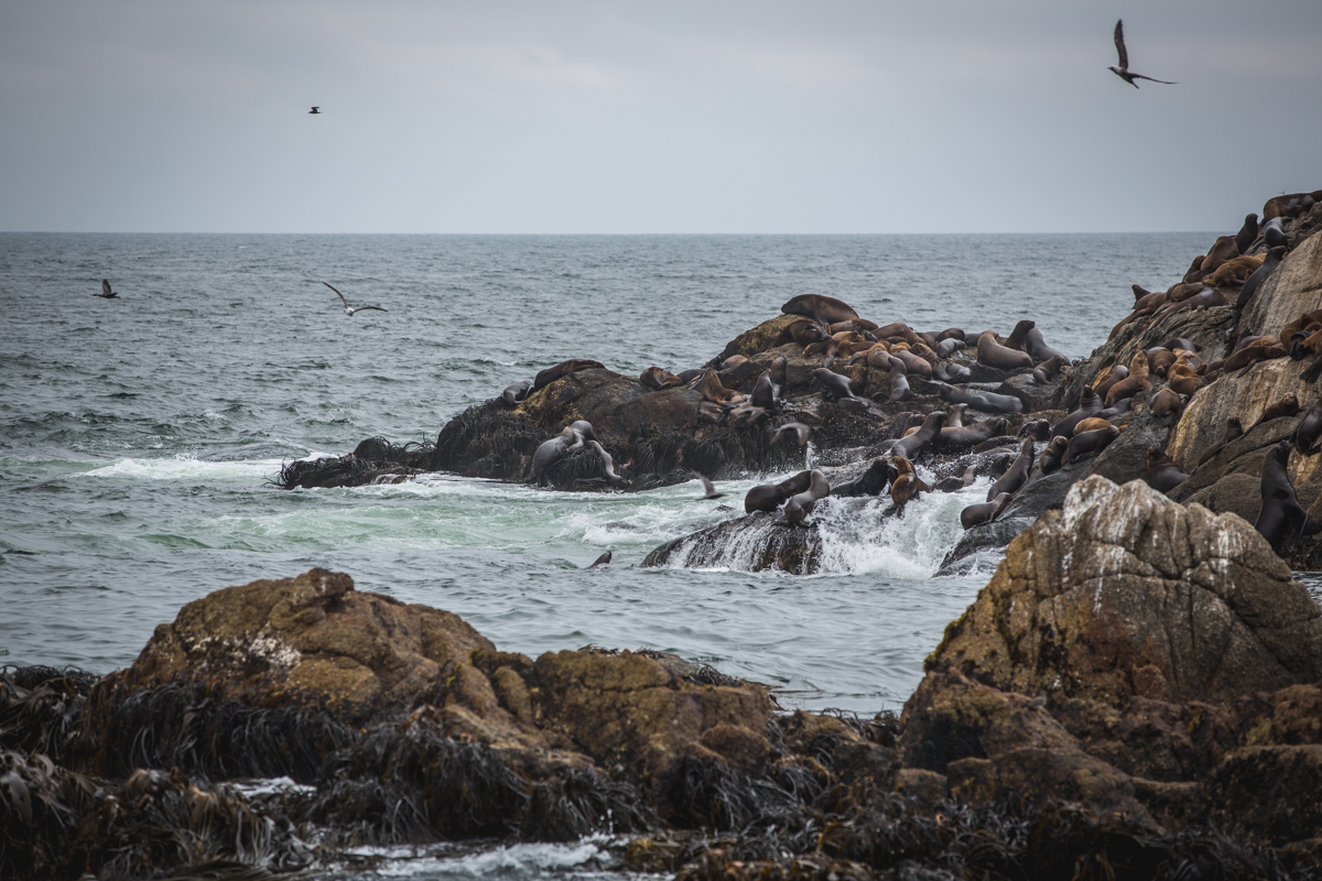 21January2015.VinaDelMar.Day.2.0.GearUpAdventures-8905.jpg