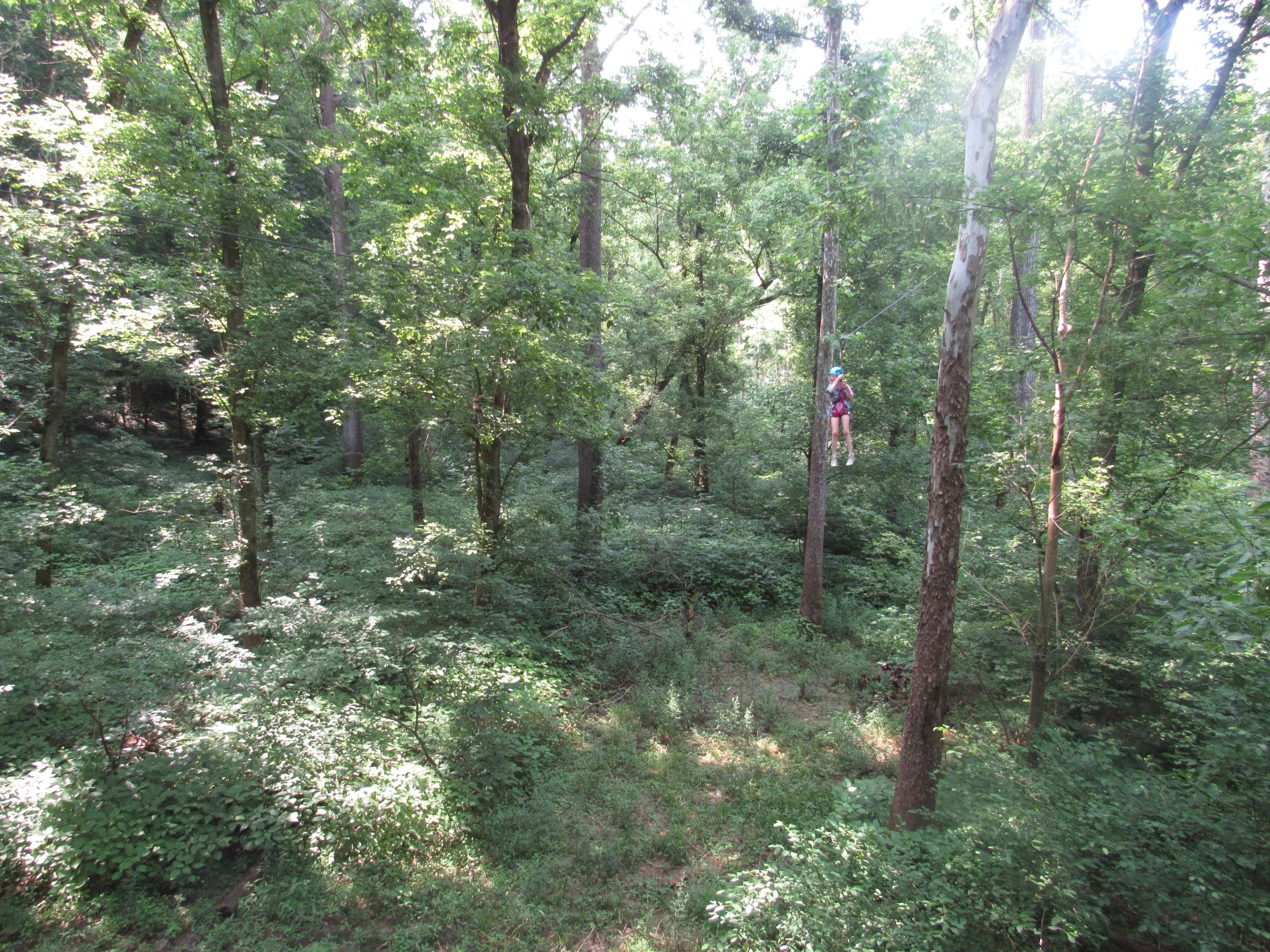 IMG_4170.JPG