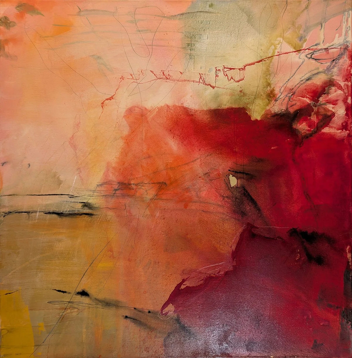 PXL_20251119_131216650.RAW-01 copy.jpg