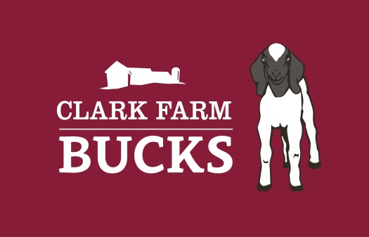 Invest in Farm Bucks