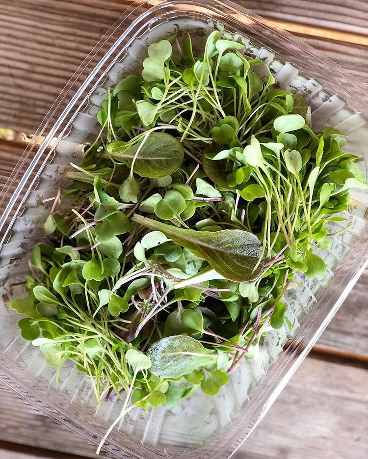 Late Winter/Early Spring CSA