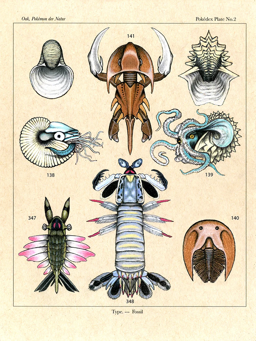 fossil_type_numbered_small.jpg