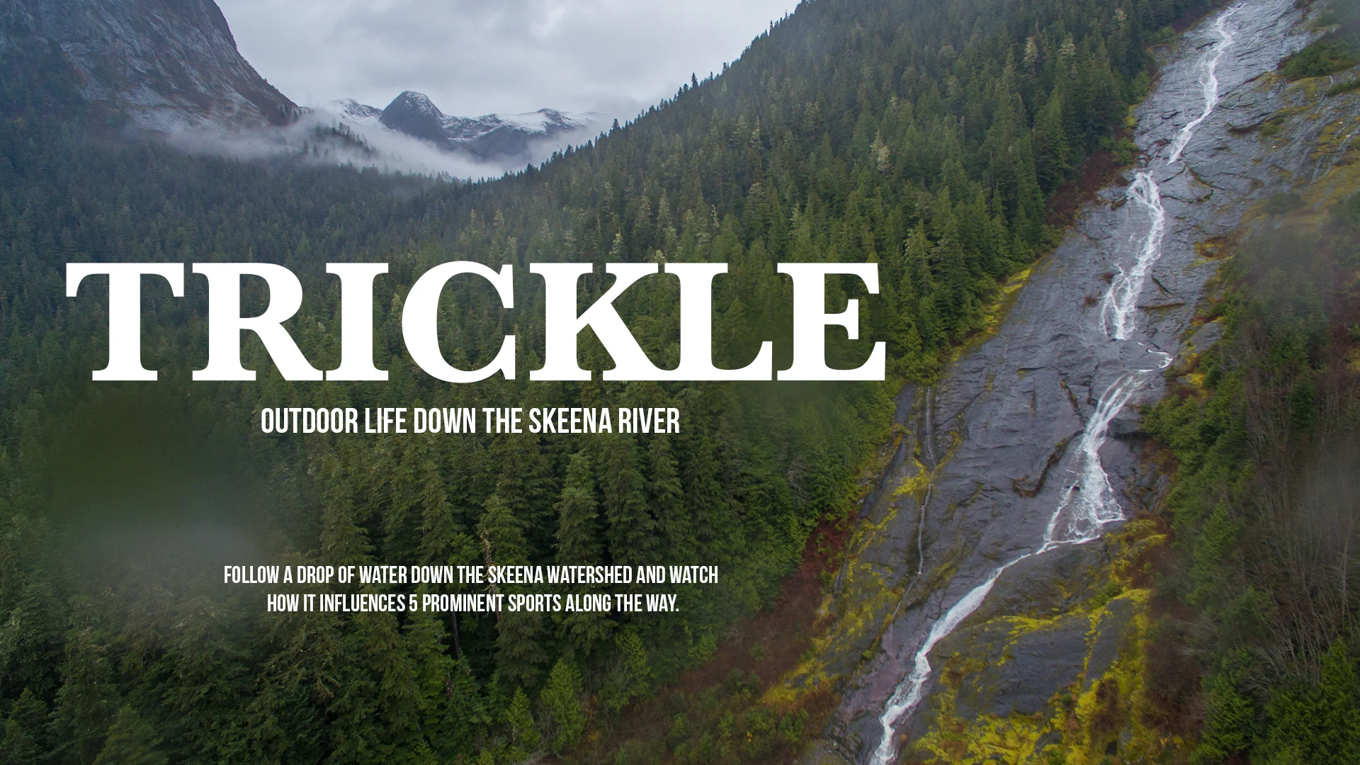 TRICKLE.jpg