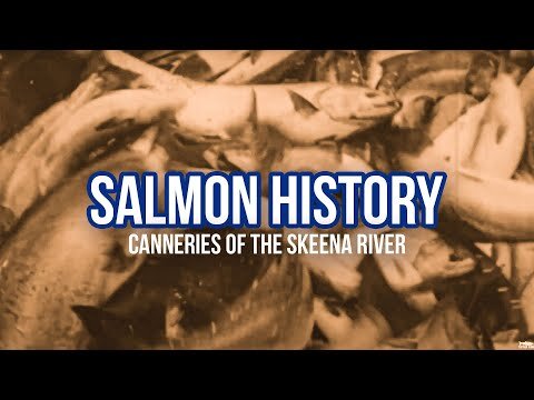 History of Salmon Fishing and Canneries In the Skeena River, British Columbia