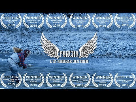 PONCHO | FLY FISHING STEELHEAD FILM!!! CATCHING GIANT STEELHEAD WITH PET CHICKEN