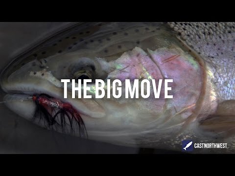 Fly Fishing for Wild Salmon & Steelhead to Prove that Happiness is Connected to Healthy Environments