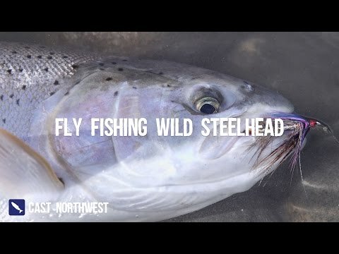 Epic Fly Fishing for Wild Steelhead & A Passion for Adventure | Cast Northwest | Episode 7
