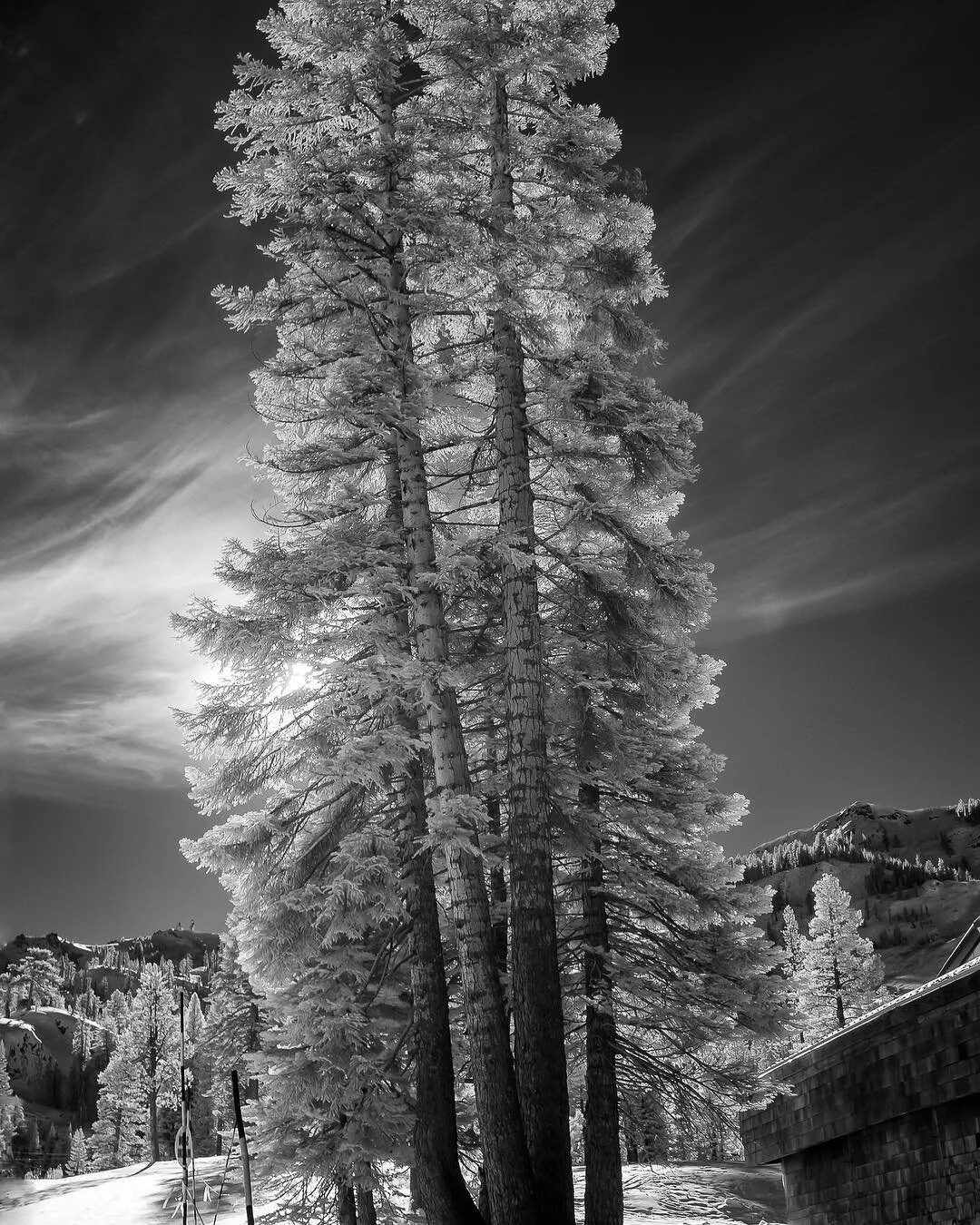 Majestic.
.
.
.
.
.
.
#bw_photooftheday #bw_perfect #bw #bnw #bnwmood #bnwphotography #bnw_greatshots #bnw_photography #bnw_planet #bnw_addicted #infraredphotography #infrared #monochrome #monochromatic #monochromephotography #landscapephotography #l