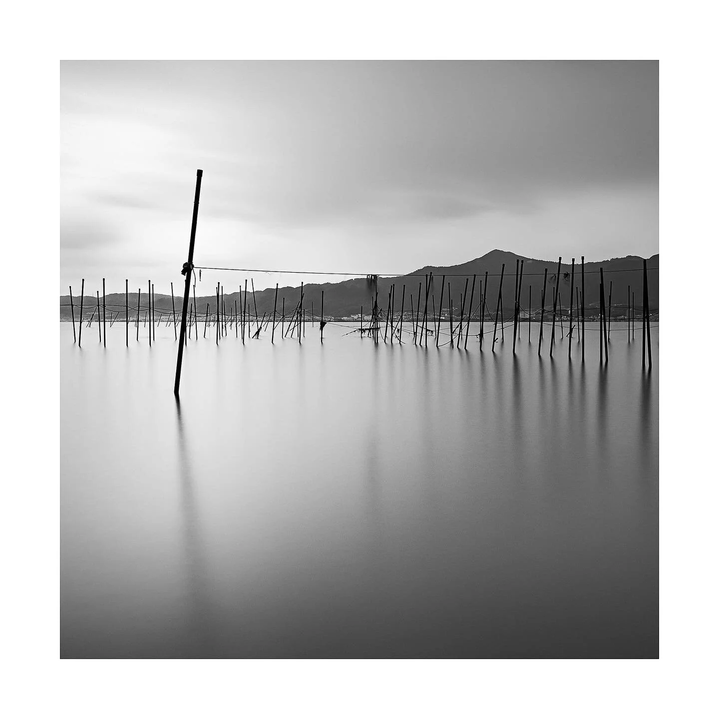 First Light | Japan 2019
This is a study of fishing nets.