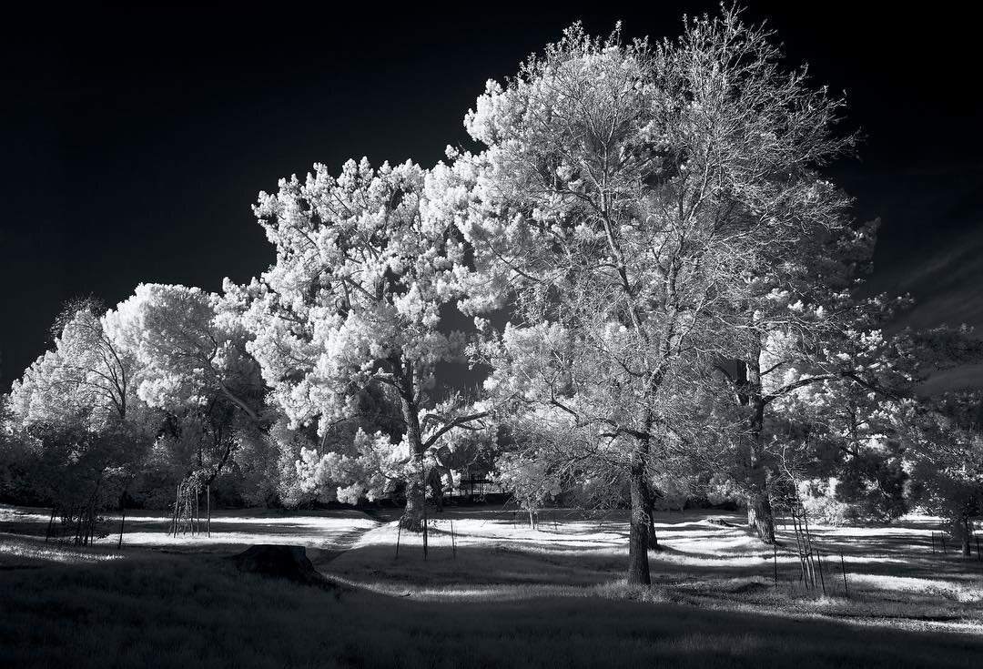 Happy holidays!
.
.
.
.
#bw_lovers #bw_photooftheday #infrared #infraredphotography #sonynex #bw_society #bw_perfect #bnw #bnw_of_our_world #bnwphotography #bnw_captures #bnwmood #monochrome #monochromatic #fineartphotography #landscape #landscapepho