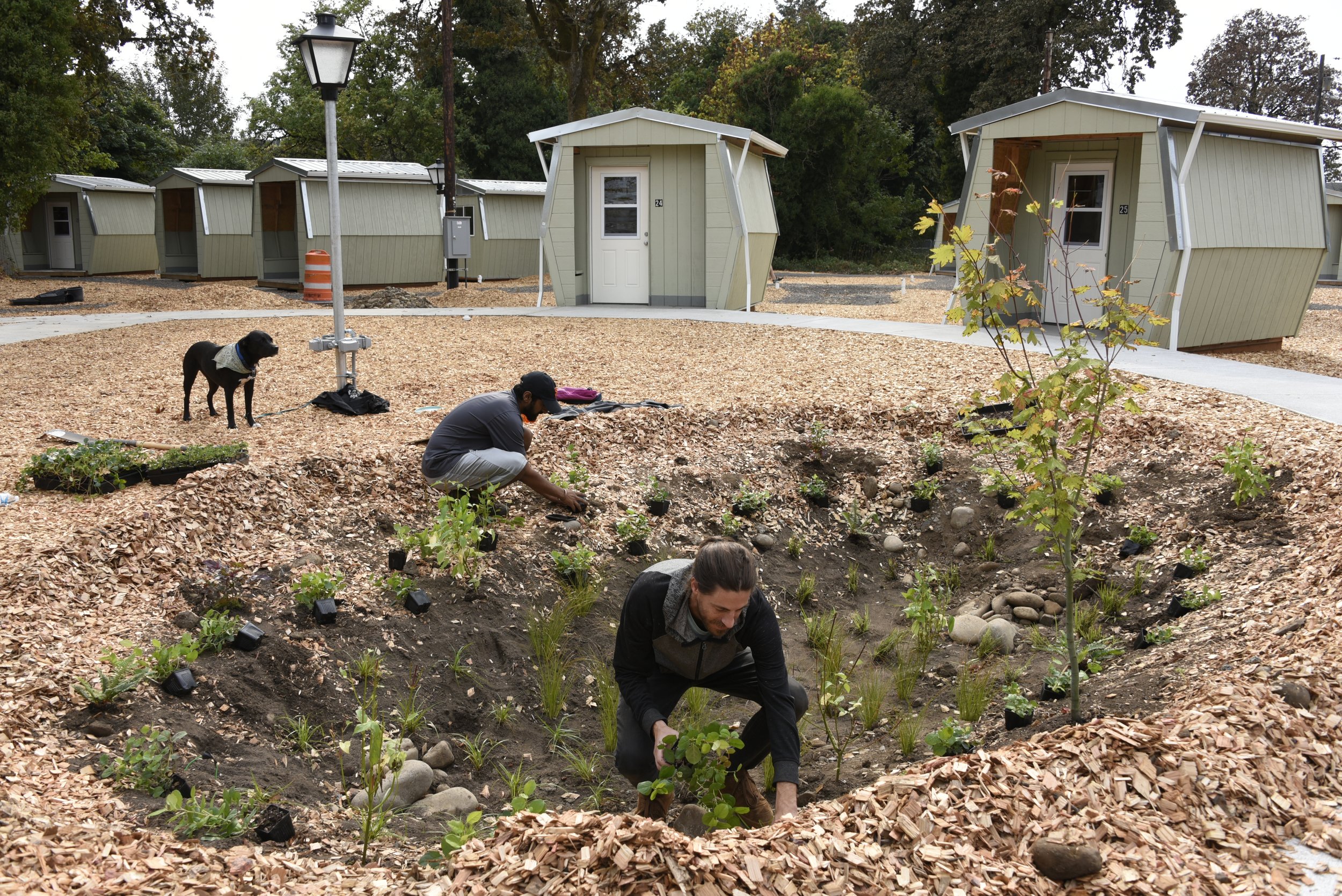 Alternative Shelter_Clackamas Veterans Village_Outcomes_2_Students Planting the Bioswales.JPG