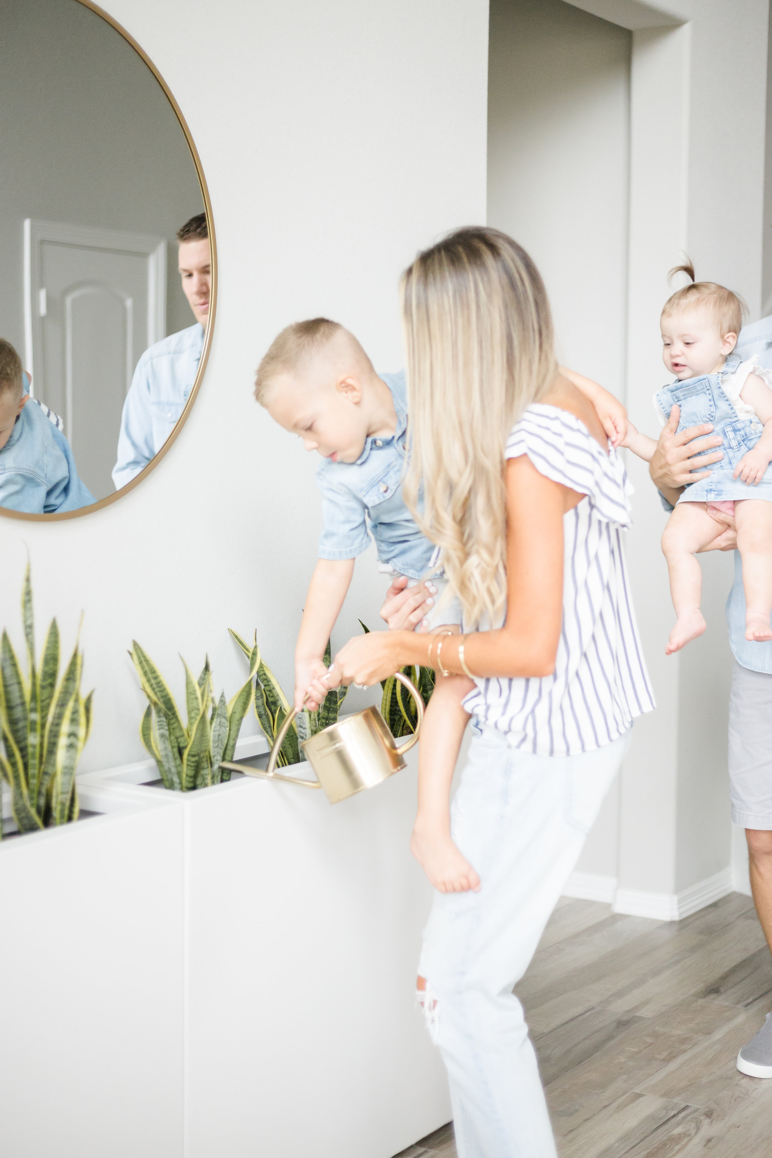 3 House Plants You Seriously Can't Kill