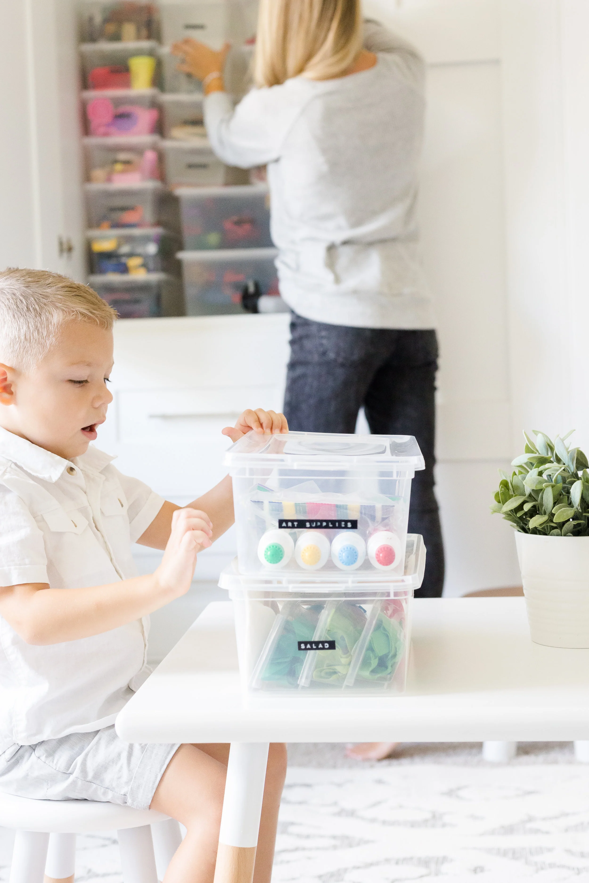 Our Inexpensive Toy Storage Game Changer