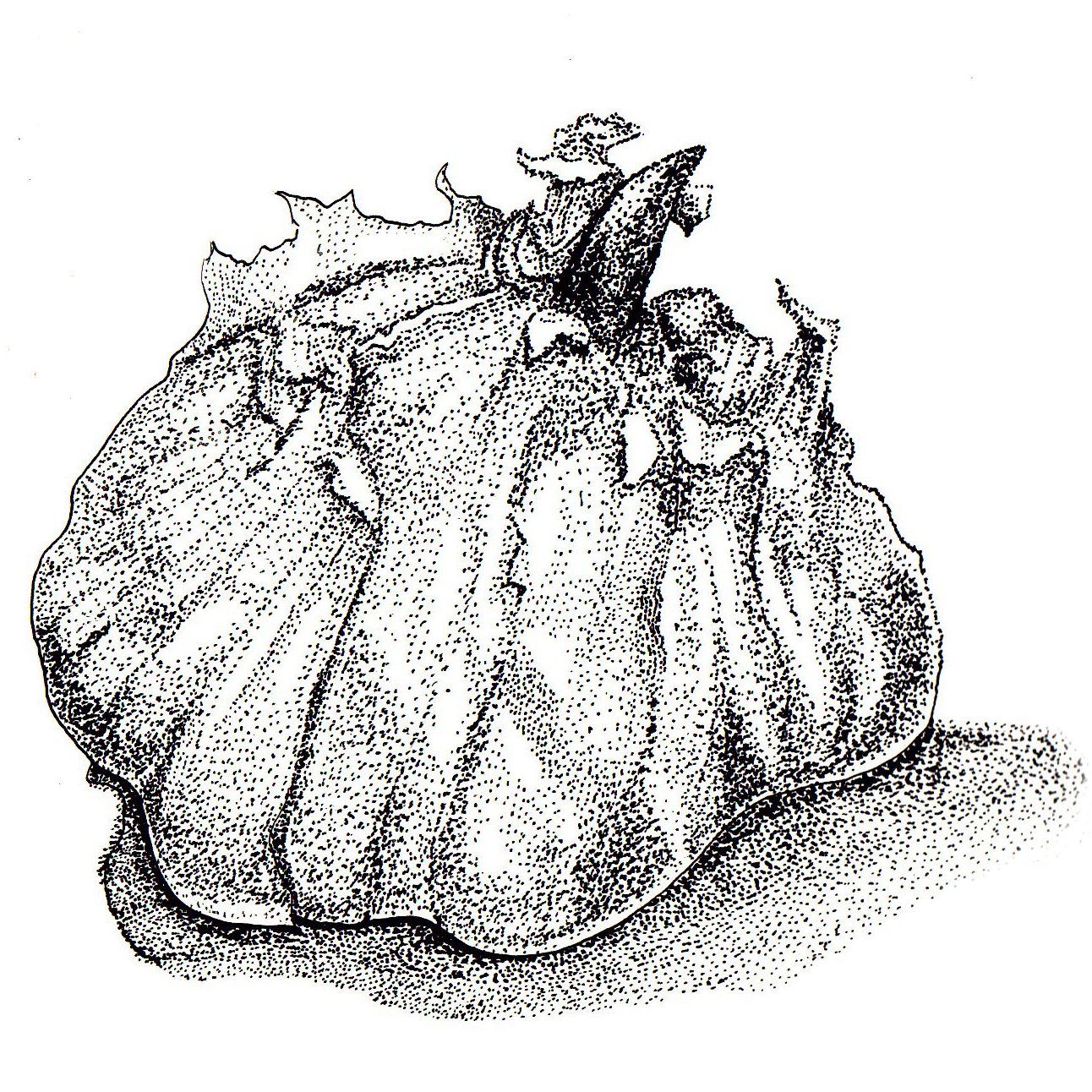 garlic_ink.png