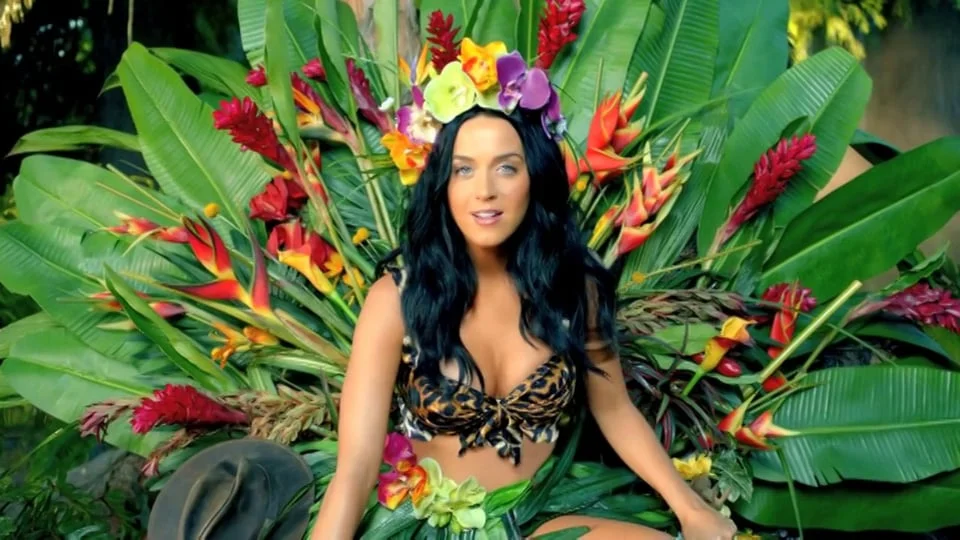 Katy Perry "Roar"