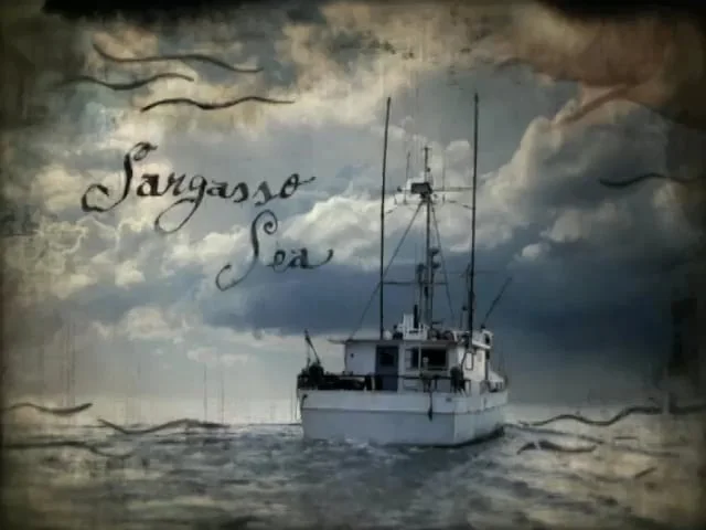 Modest Mouse "Dashboard"