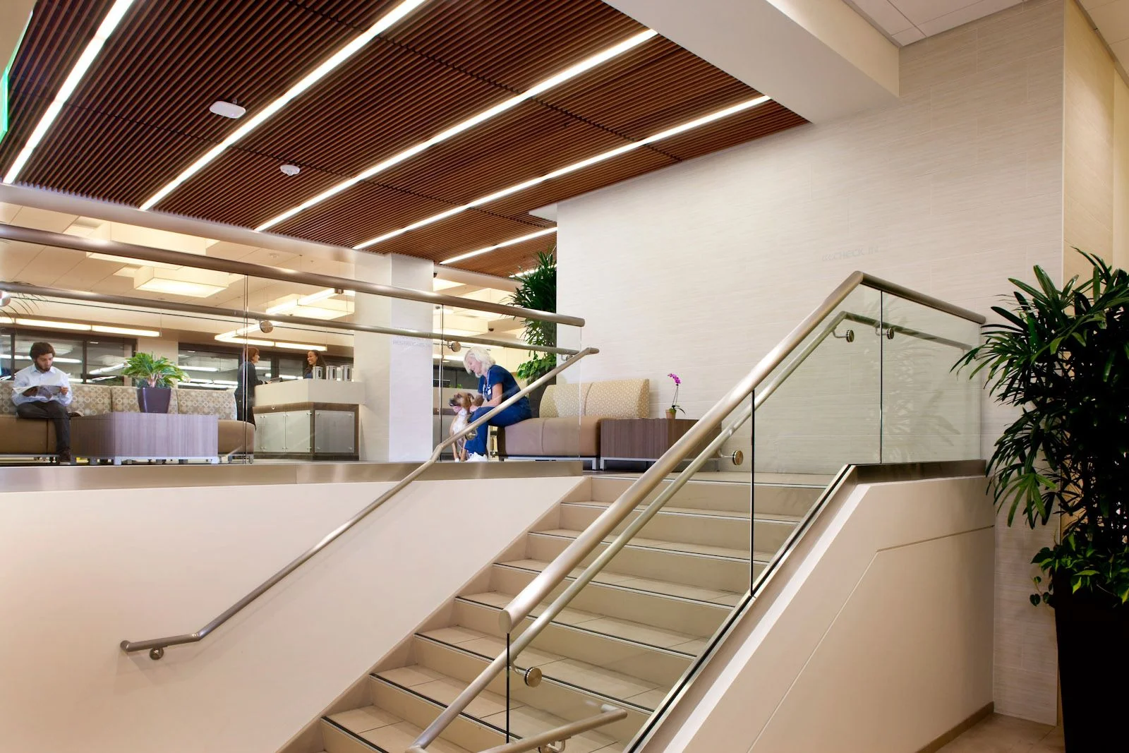 VCA West Los Angeles Animal Hospital — Integrated Lighting and Electrical Solutions