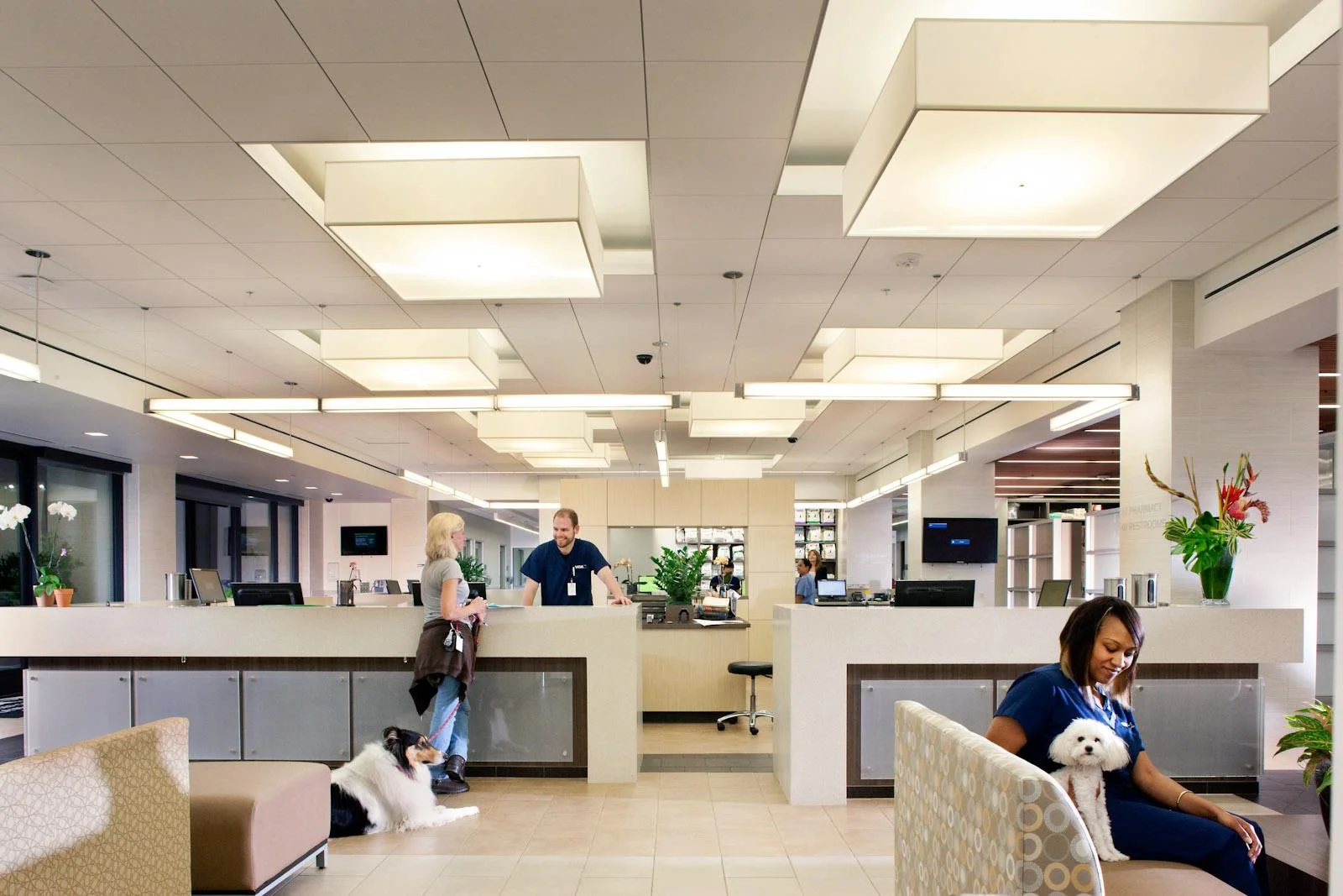 vca animal hospital west