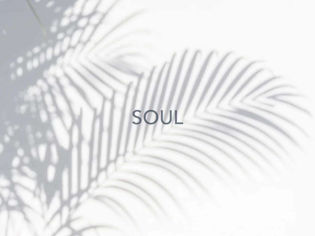 Soul 2.001.jpeg