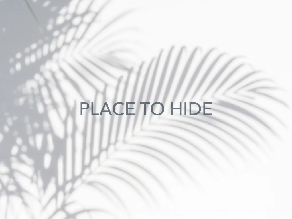 placetohide2.001.jpeg
