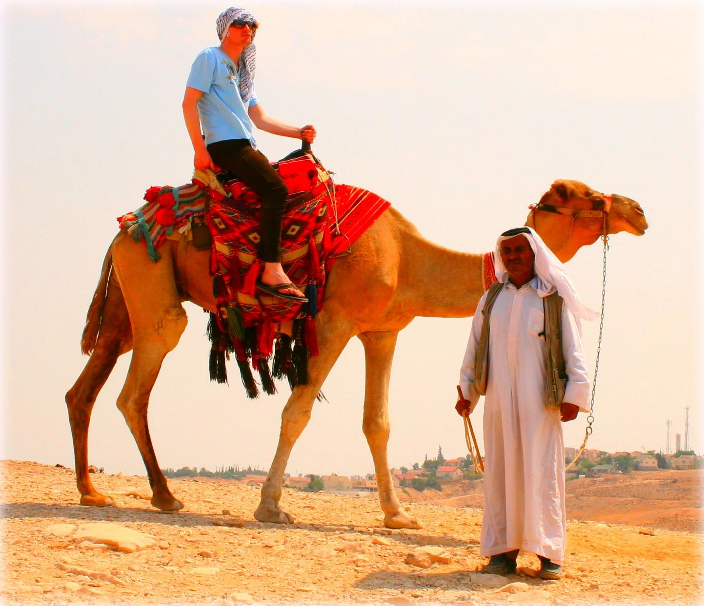 Camel camello شتر.jpg