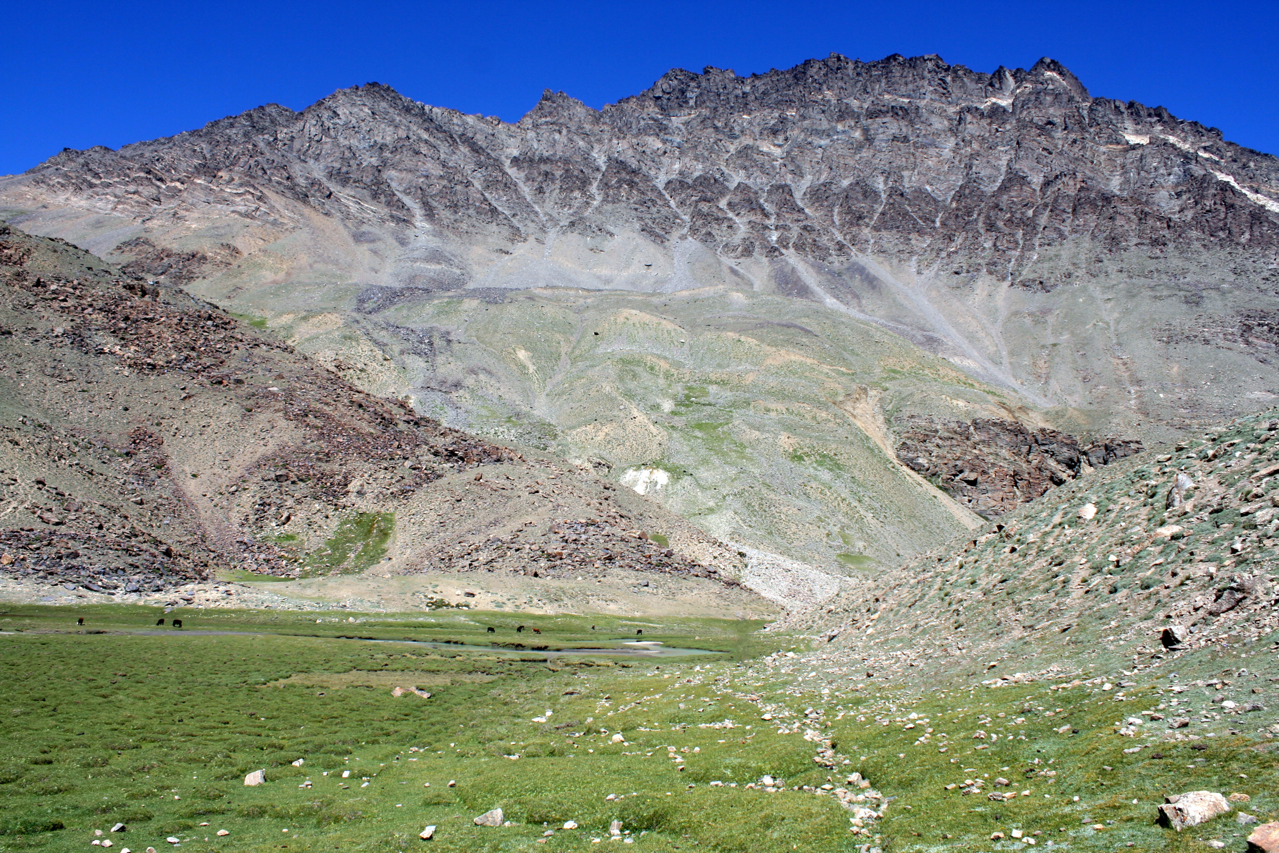 TAJIK LANDSCAPE MOUNTAINS LIVESTOCK BLUE SKY GRASS.png