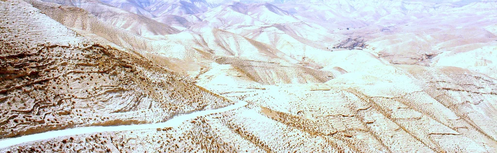 Desierto_3069572036_l.jpg