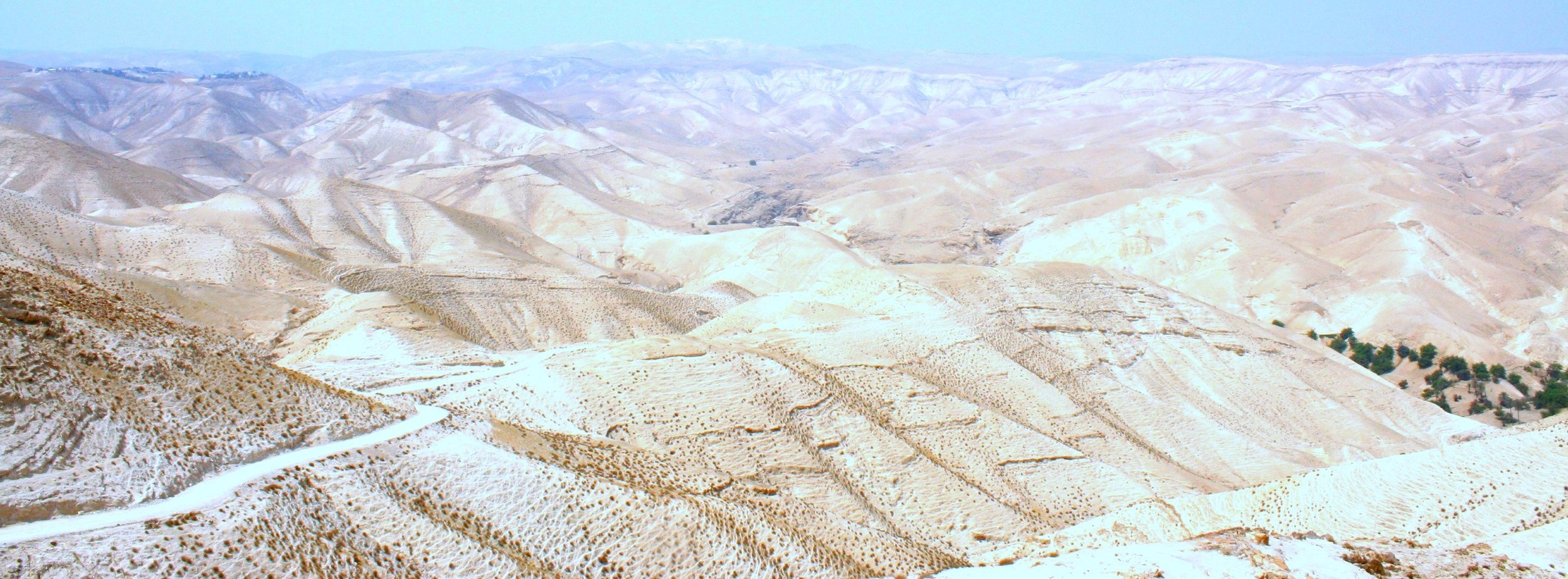 Palestinian desert.jpg