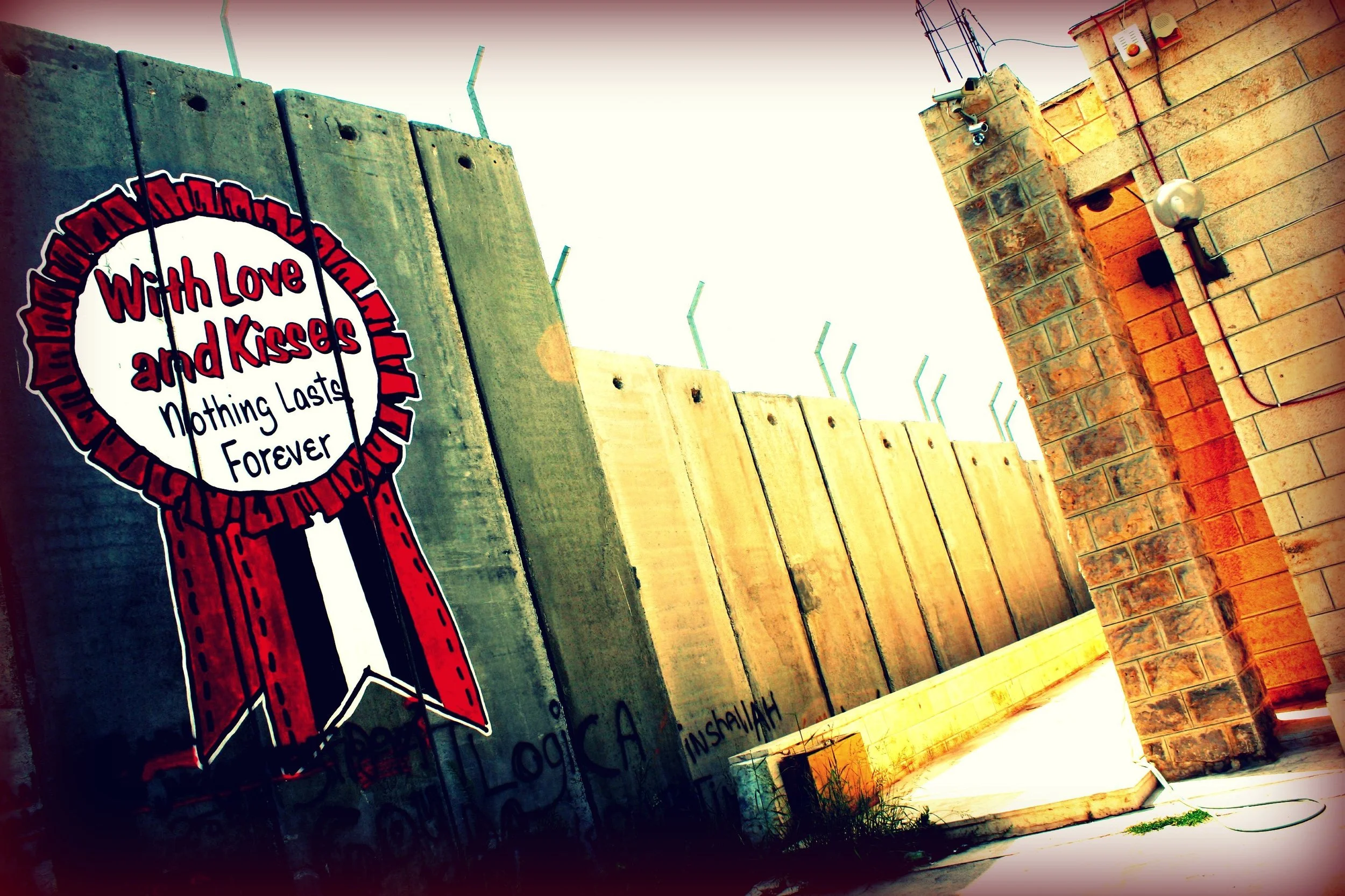 Wall muro دیوار.jpg