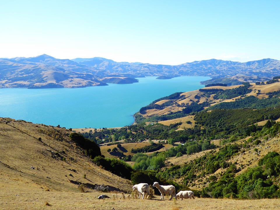 Christchurch