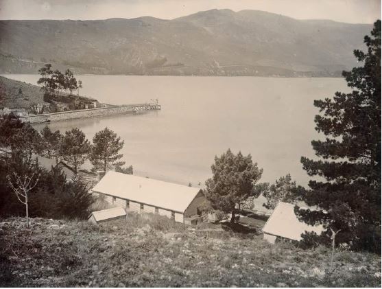Quail Island au début du 20e siècle. Le débarcadère est visible en second plan (crédit : nzhistory.net.nz)
