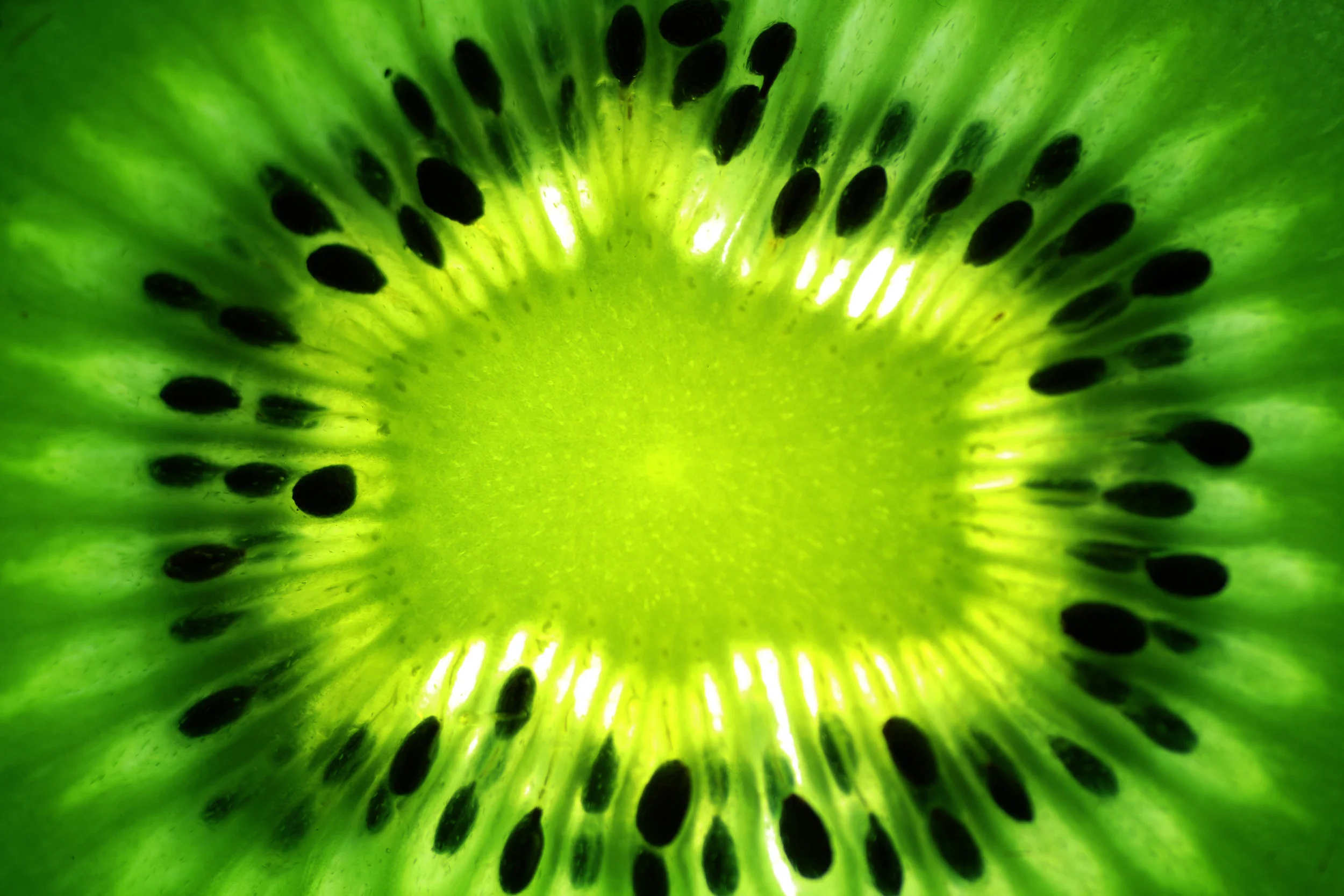 Expressions pour parler comme un vrai "kiwi"