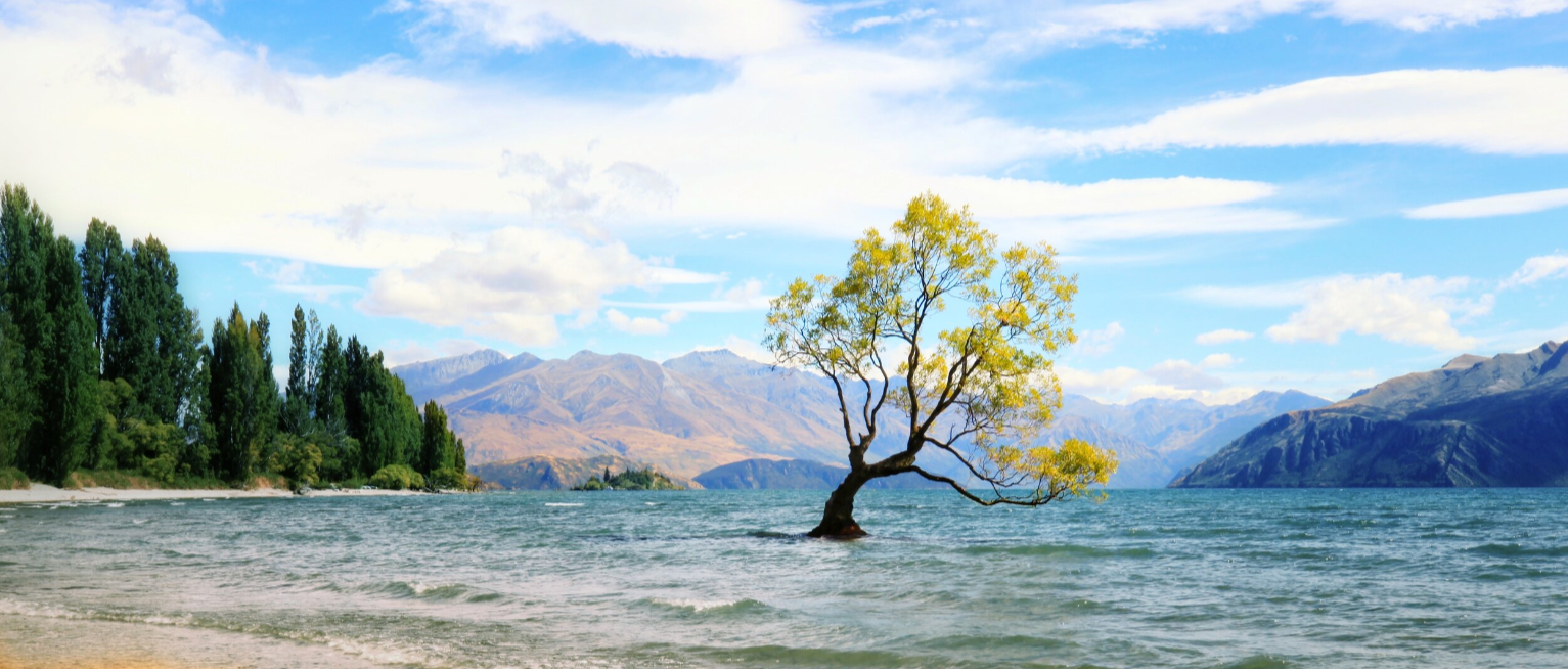 wanaka.PNG
