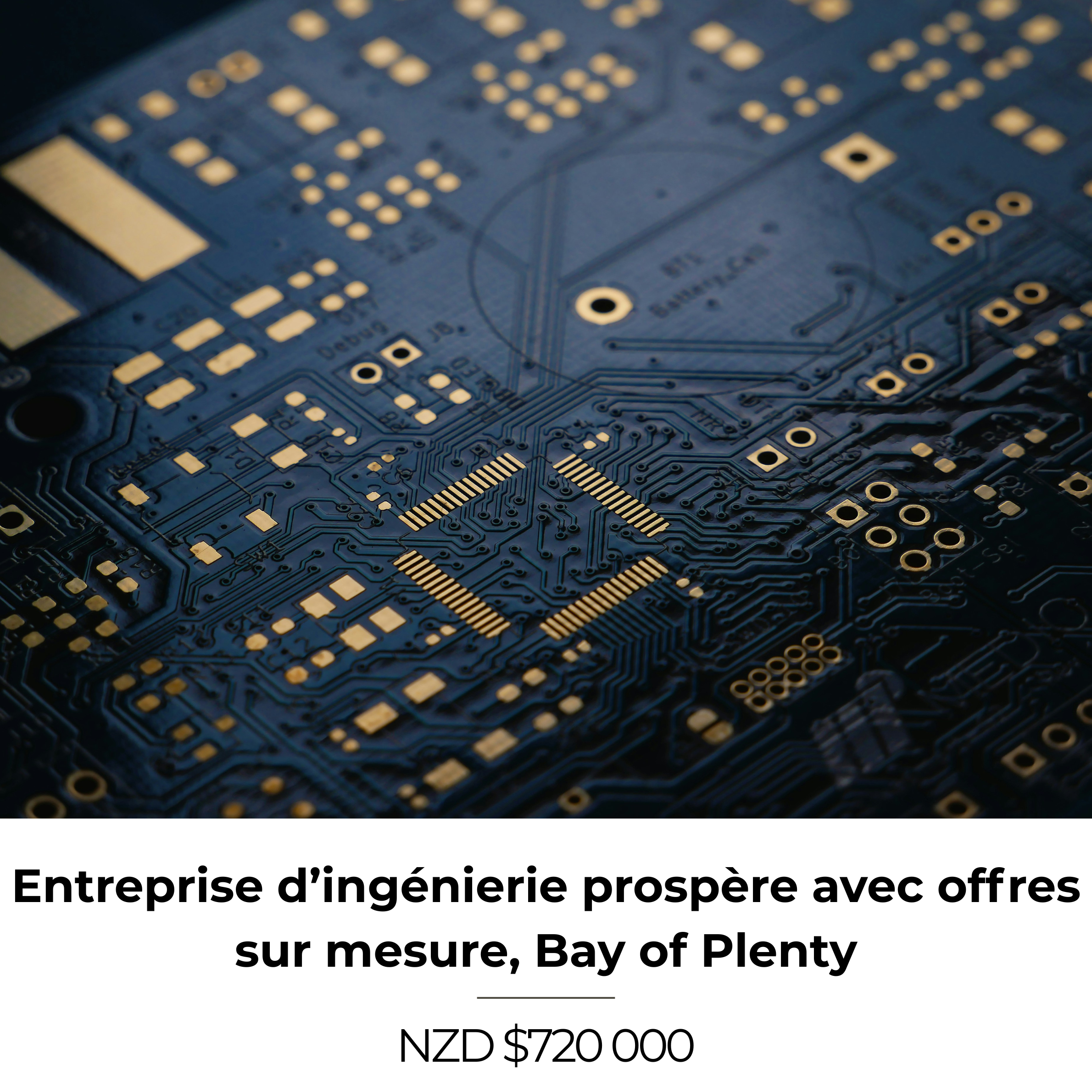 Entreprise d’ingénierie prospère avec offres sur mesure