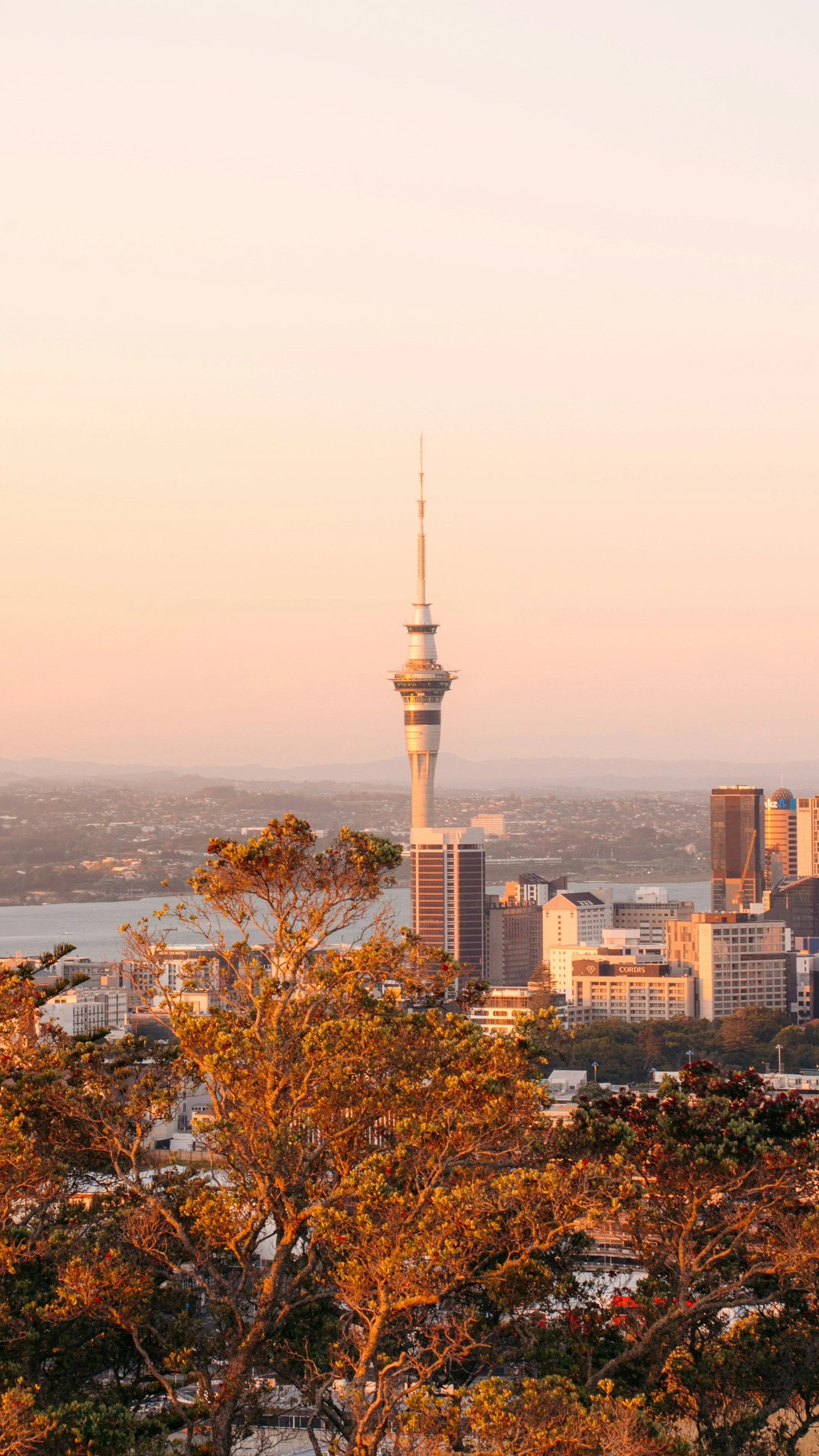 Cinq signaux économiques qui confirment la reprise en Nouvelle-Zélande en 2026