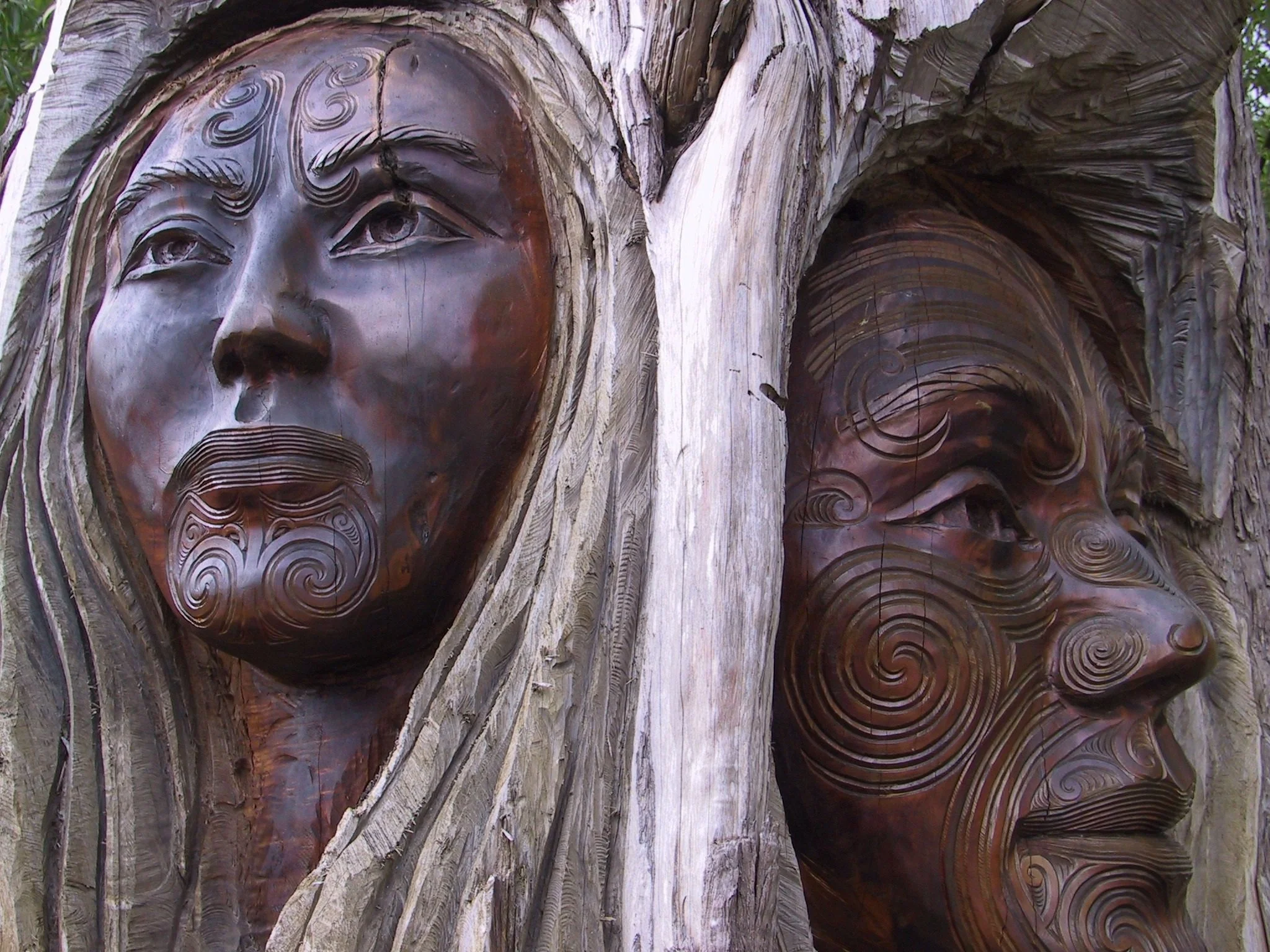 Retour en force de « Te reo », la langue Maori