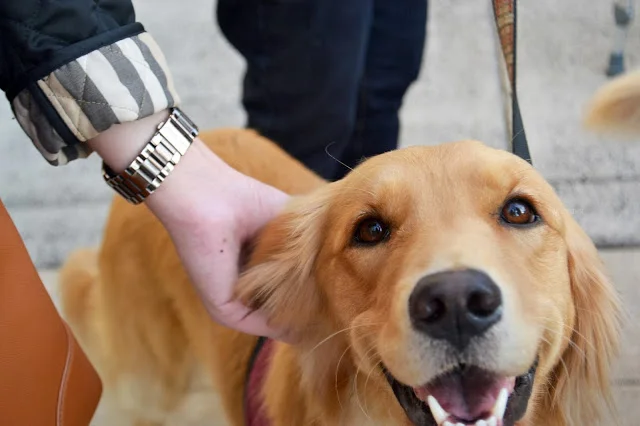 scenes from my weekend 