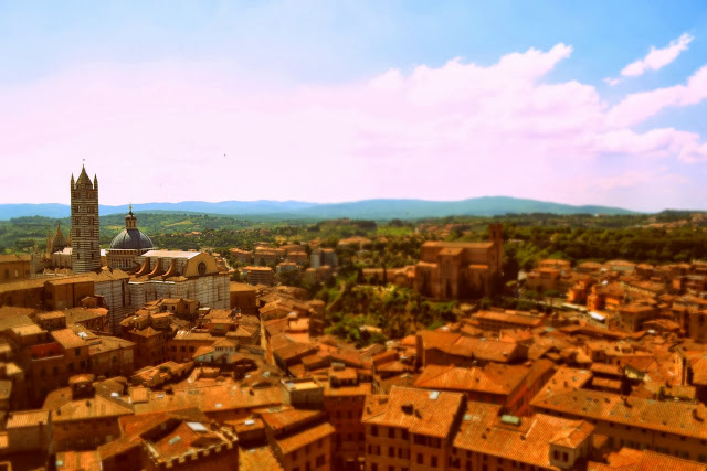 Dear Siena