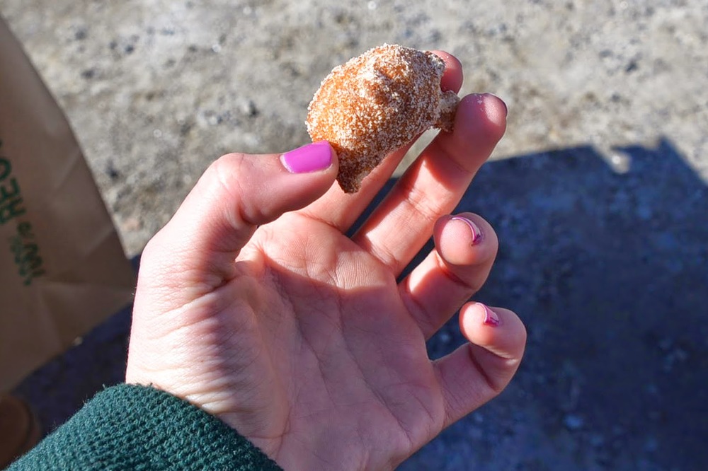 Terhune Orchards