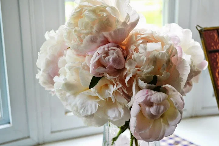 may I vent for a moment?