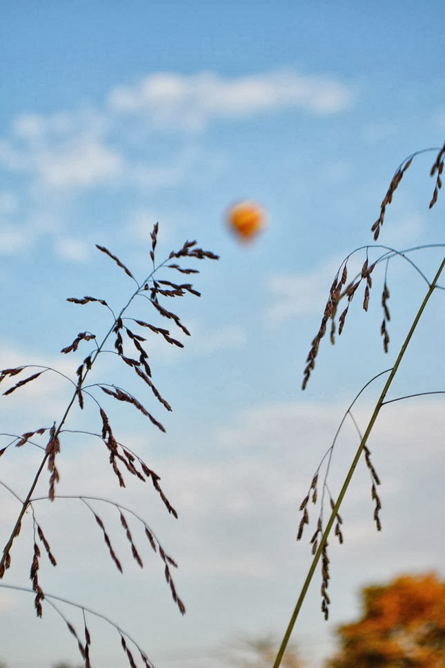 scenes from my weekend.