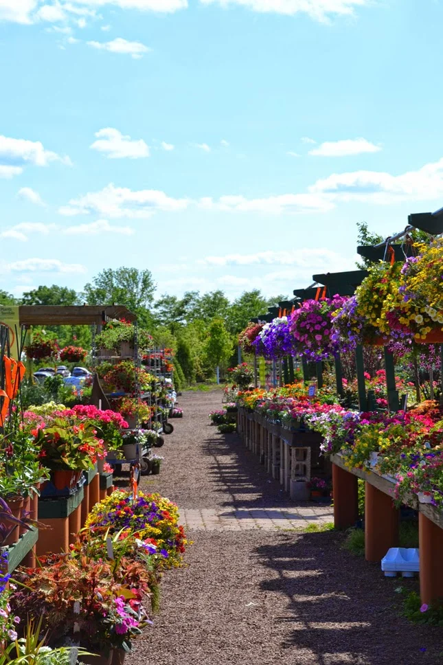 scenes from my weekend